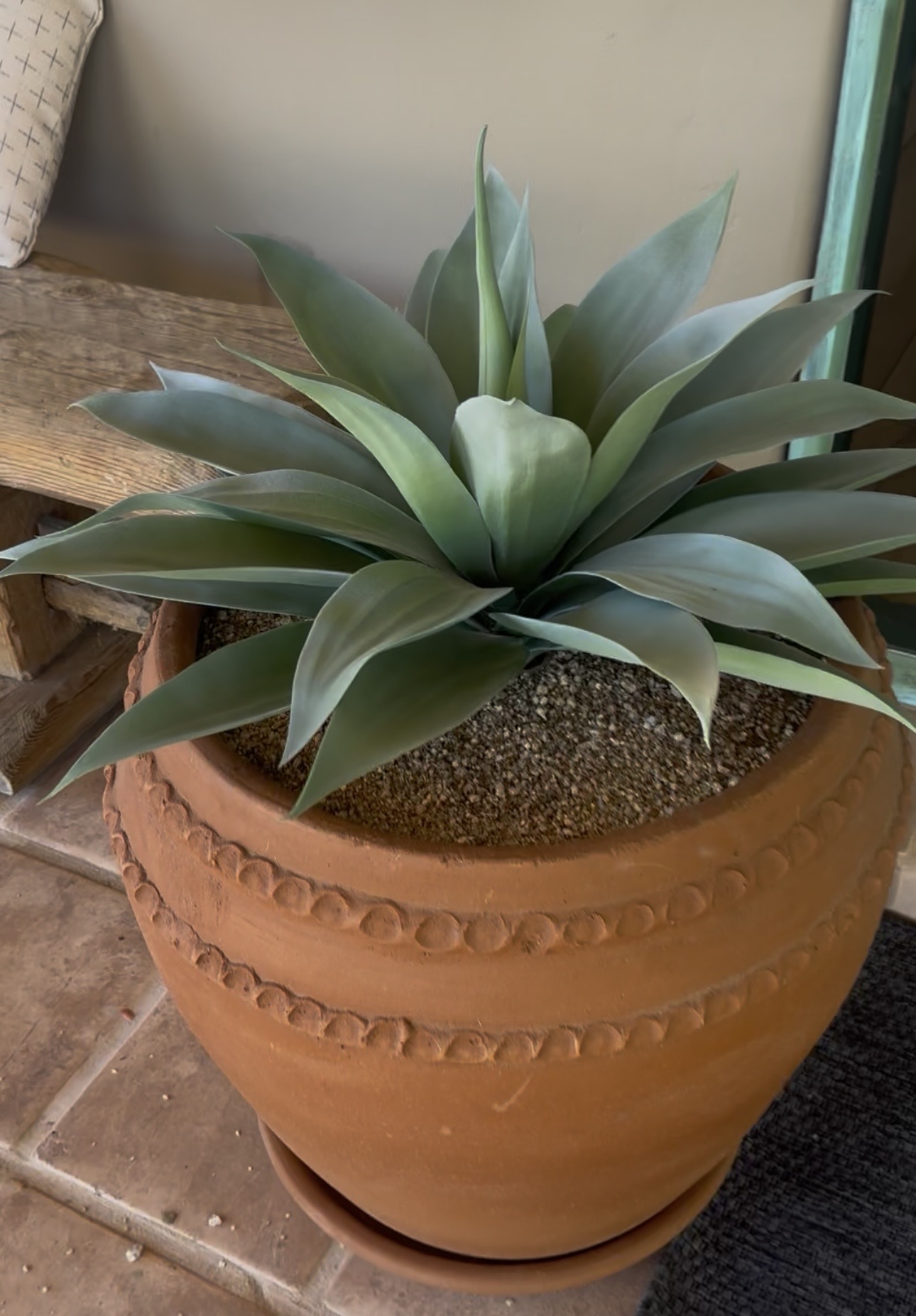 Finished faux agave plant in a large decorative terracotta pot on a tiled patio