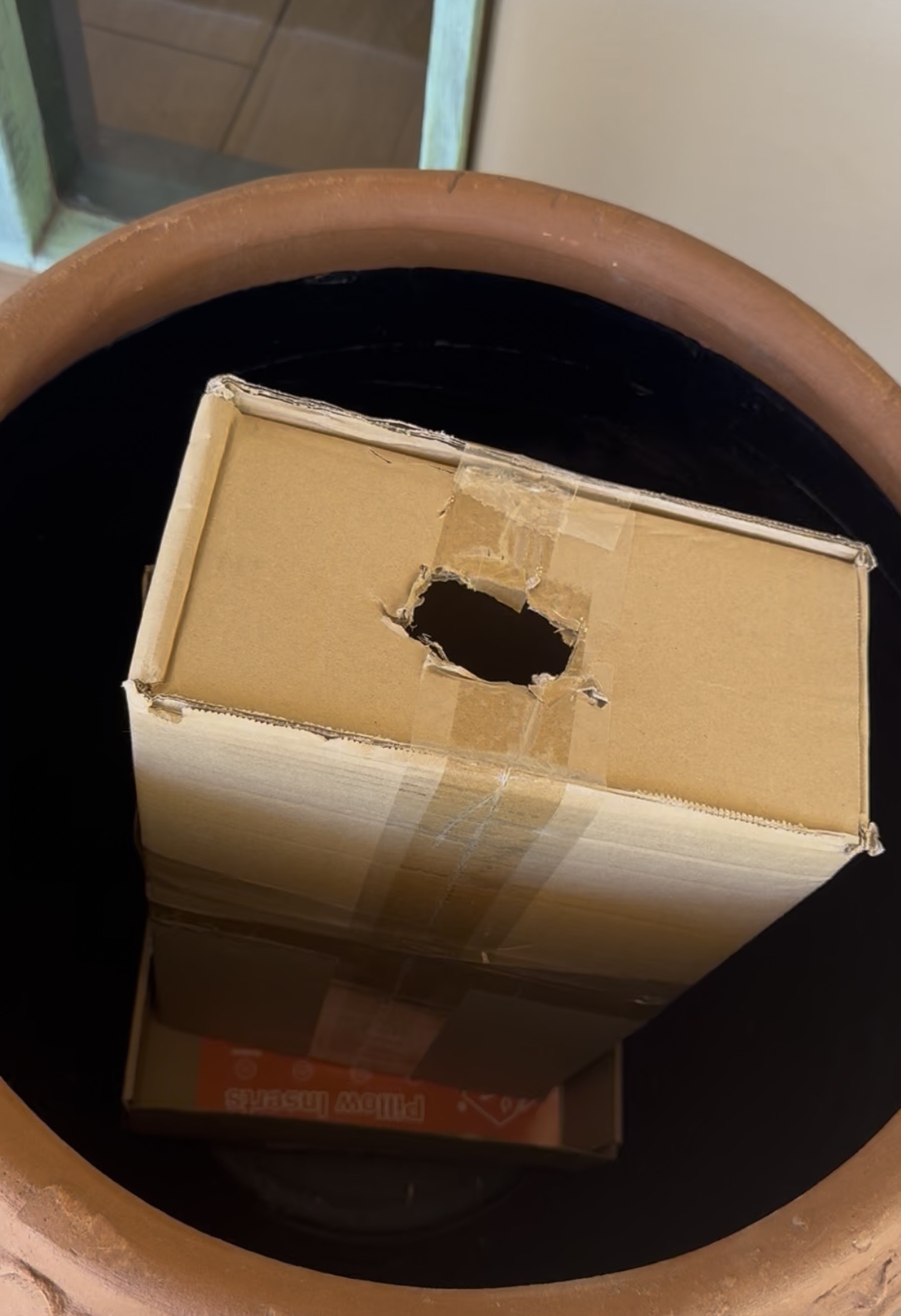 Cardboard box with a hole cut in the top, placed inside a large terracotta pot, viewed from above