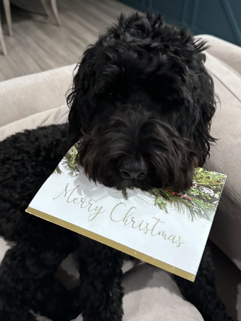 Sir Swipes-A-Lot with a stolen Christmas card