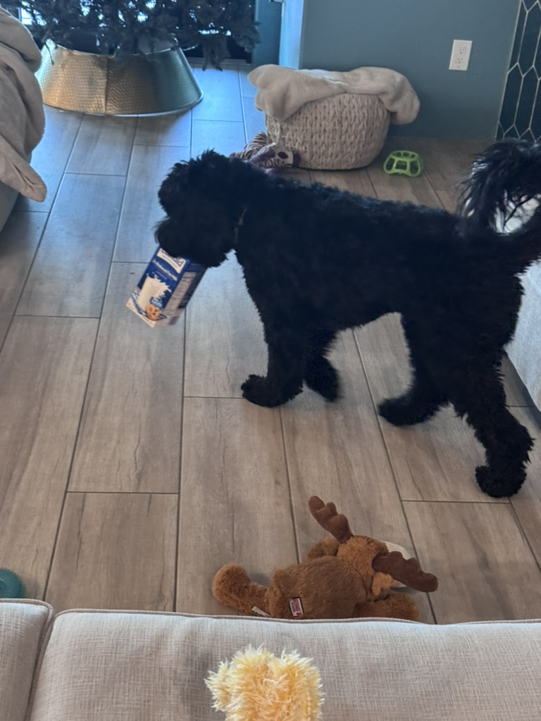 Sir Swipes-A-Lot with a stolen milk carton