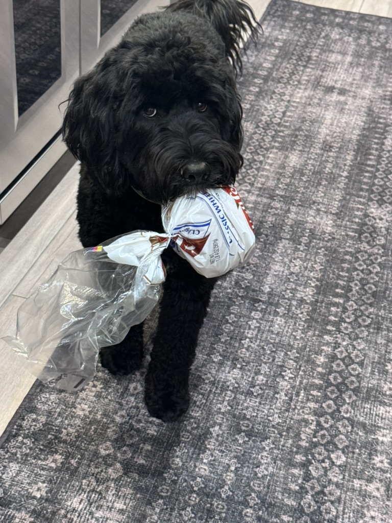 Sir Swipes-A-Lot with a stolen loaf of bread