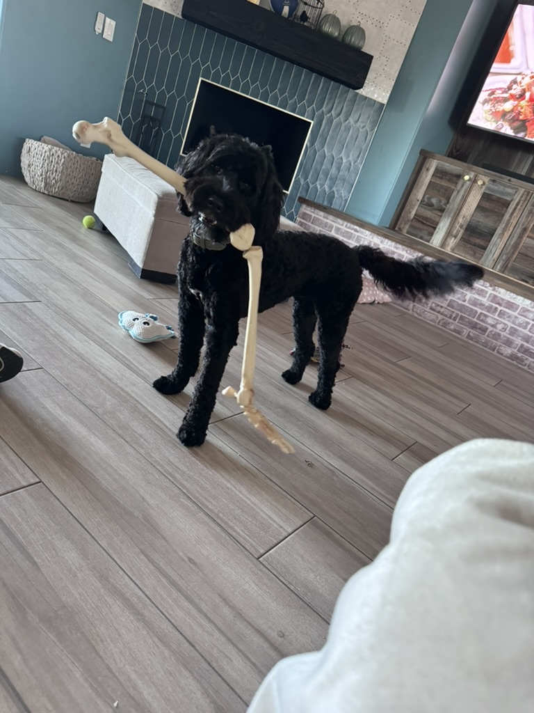 Sir Swipes-A-Lot with a stolen skeleton leg