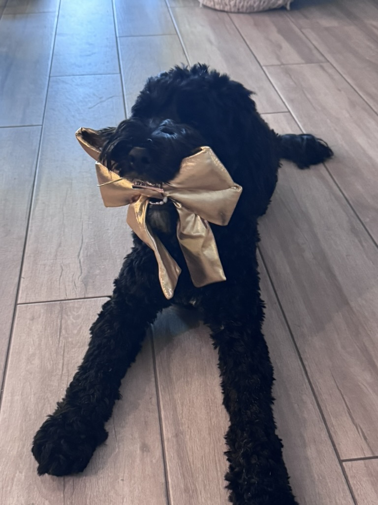 Sir Swipes-A-Lot with a stolen bow